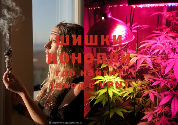 PSILOCYBIN Алексеевка