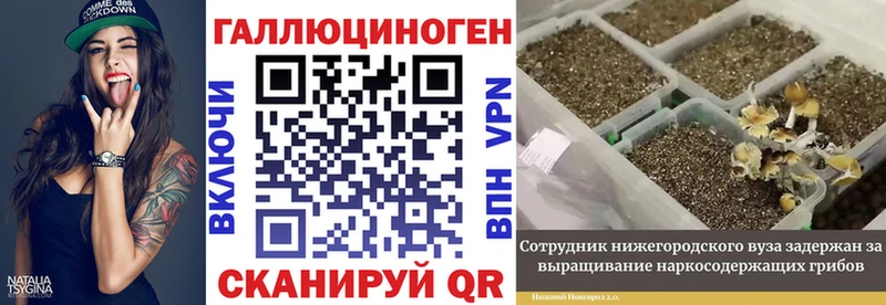 Галлюциногенные грибы Cubensis где купить Алексеевка